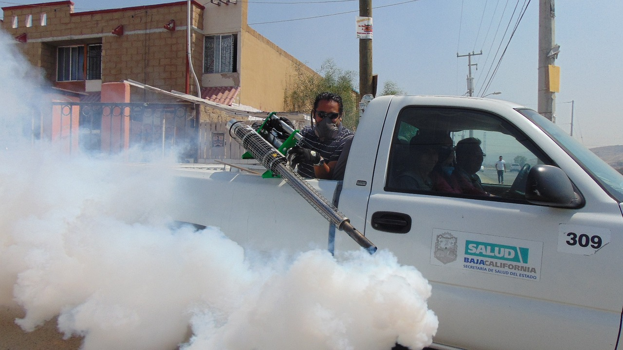 service de traitement contre les termites